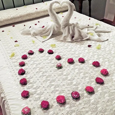 拉斯博得加斯德尔吉洛乡村民宿 * Valdealgorfa