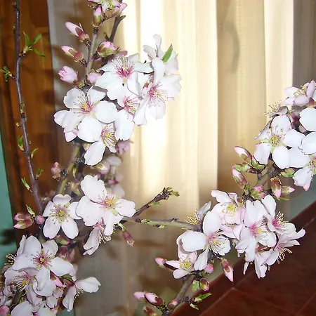 拉斯博得加斯德尔吉洛乡村民宿 乡村民宿 Valdealgorfa