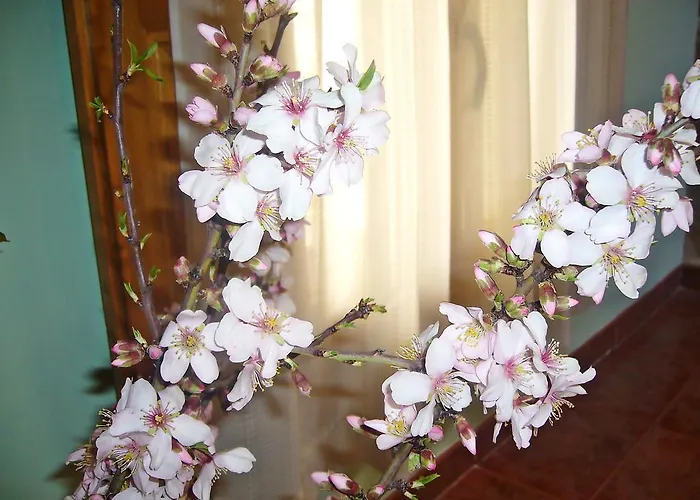 Bodegas Del Gilo Casa rural Valdealgorfa